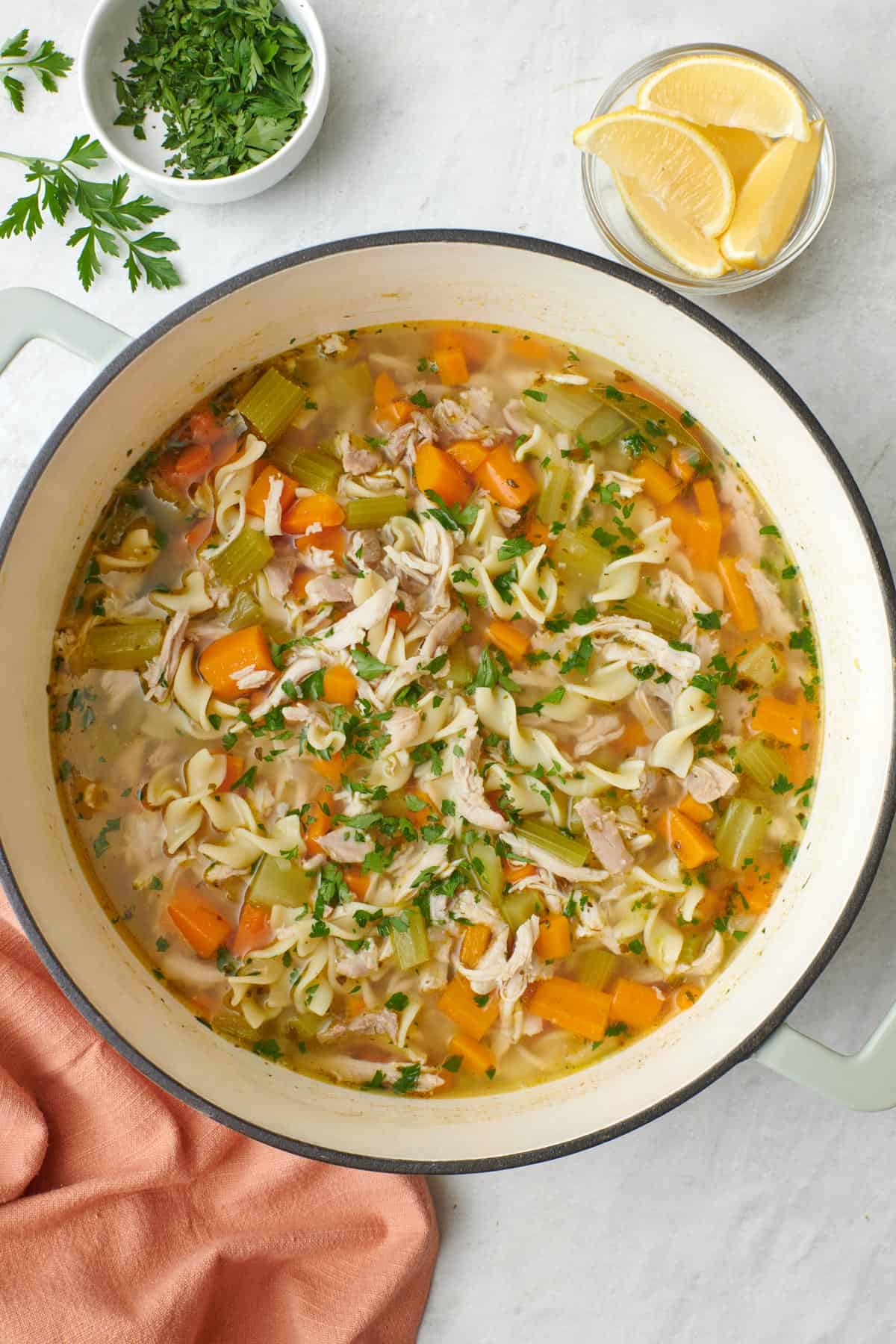 Large bowl of chicken noodle soup with lemon slices