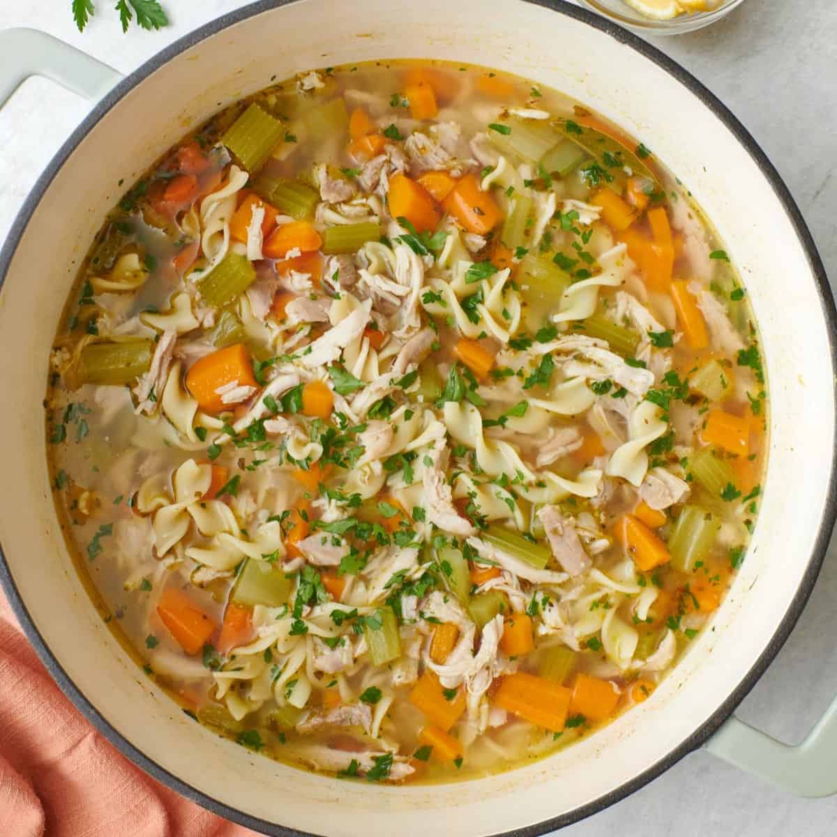 Close up view of the easy chicken noodle soup in a large bowl with lemon slices