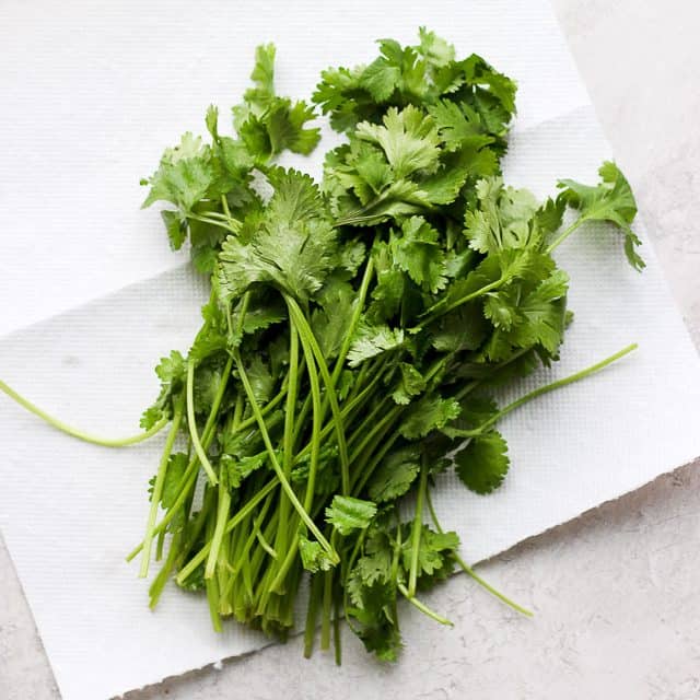 cilantro on a paper towel