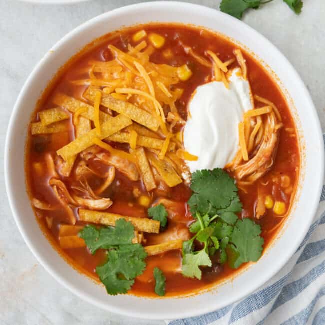 Instant Pot Chicken Tortilla Soup with a ladle lifting some up.