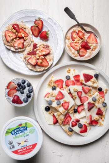 Variety of berry and yogurt snacks with tub of Stonyfield yogurt